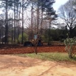 SCS Tree Service tree removal and grading
