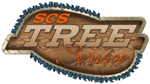 SCS-Logo-Full-CLEAR-500w