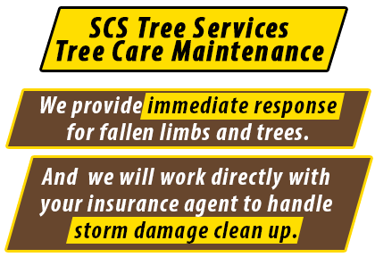 Tree Care Maintenance