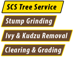 Stump Grinding