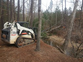 top-acworth-tree-service-company-with-bobcat