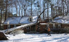 tree-on-house-winter-storm