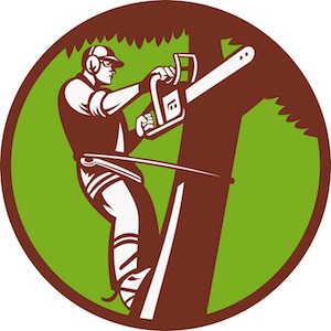 Marietta Tree Removal