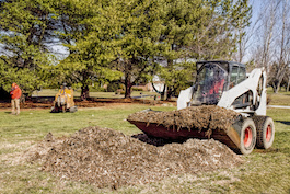 Most Trusted Woodstock Tree Removal Service