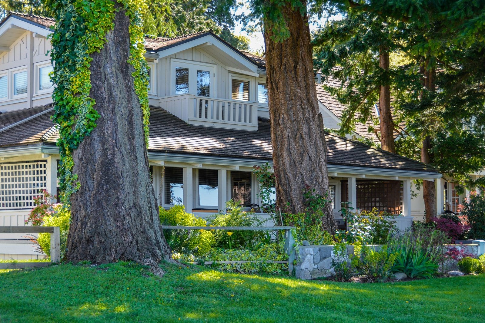 Expert Tree Service Company’s Tactic in Recognizing Hazardous Trees