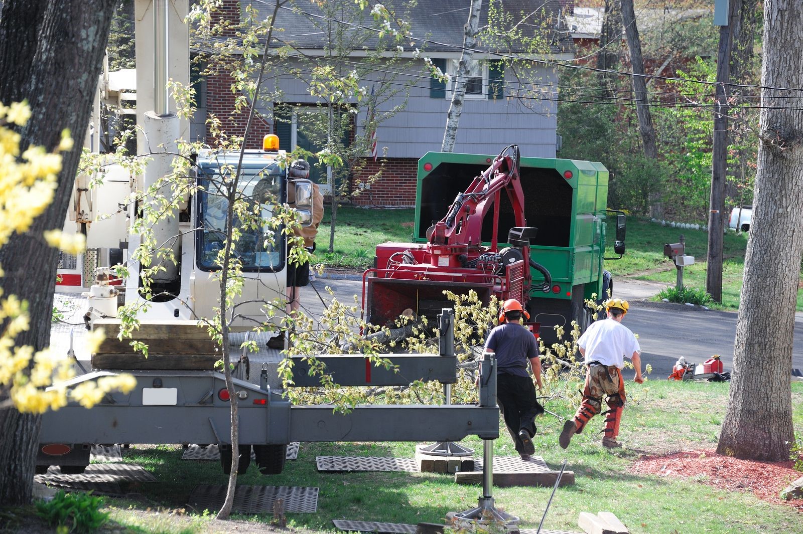 Tree Removal at the Appropriate Time Increases Homeowner Satisfaction