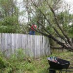 Tree Removal and Cutting in Acworth
